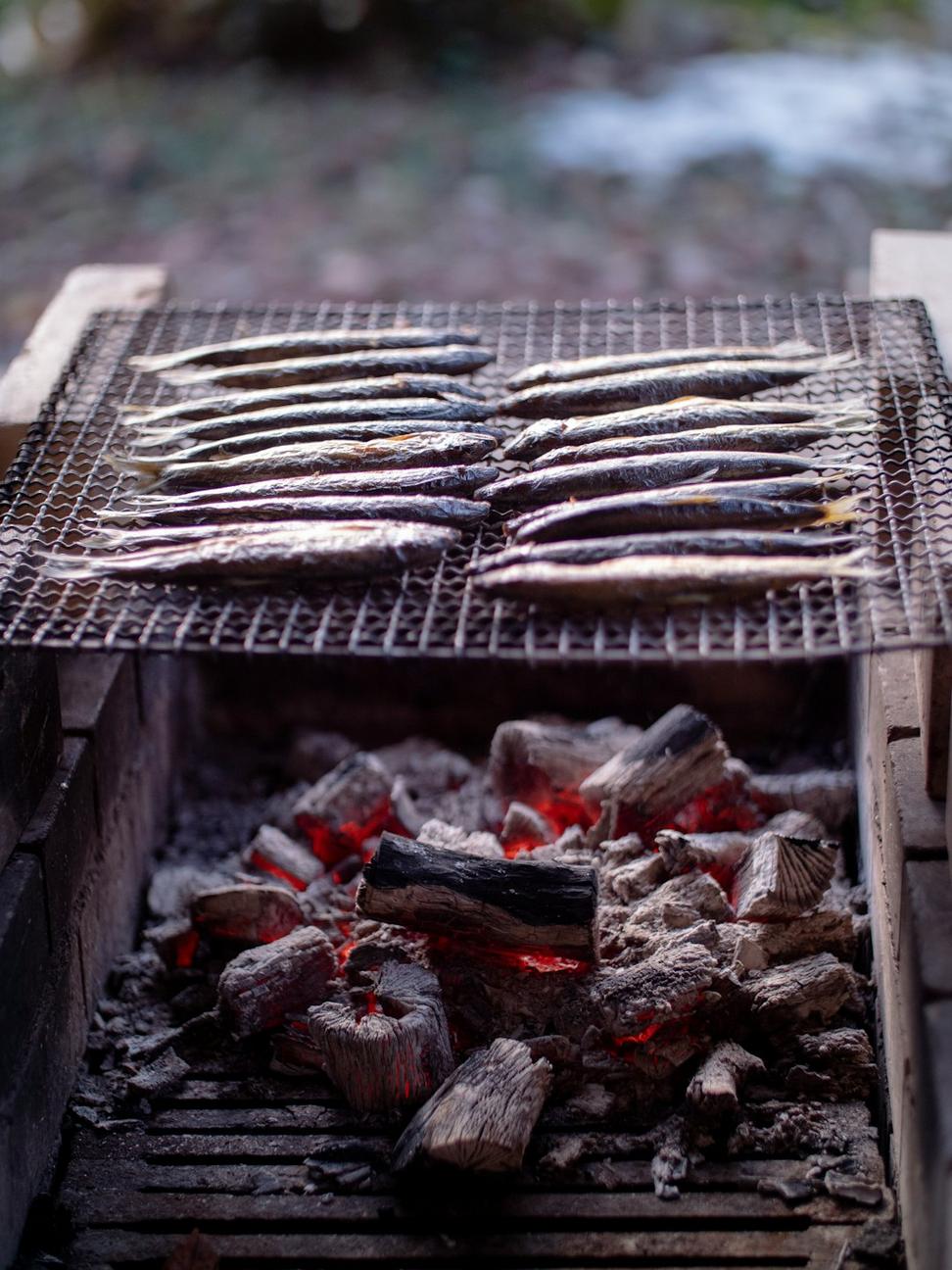 Fresh Trout