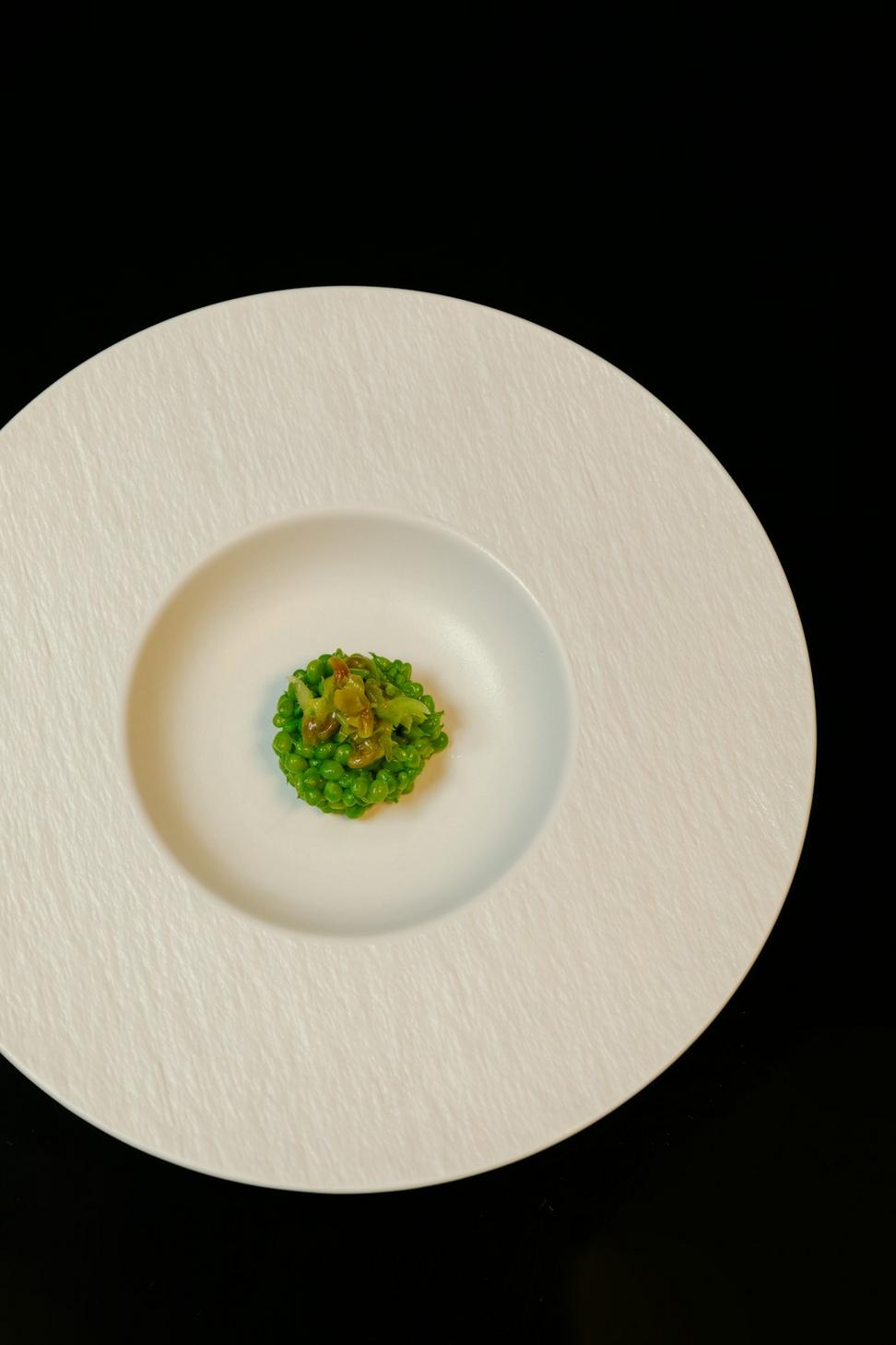Appetizer
