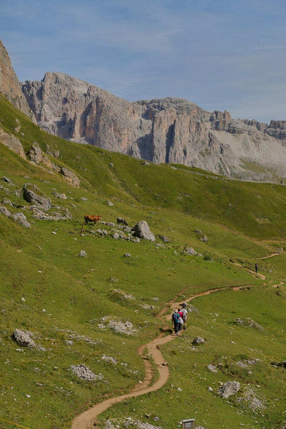 Alpine Hiking