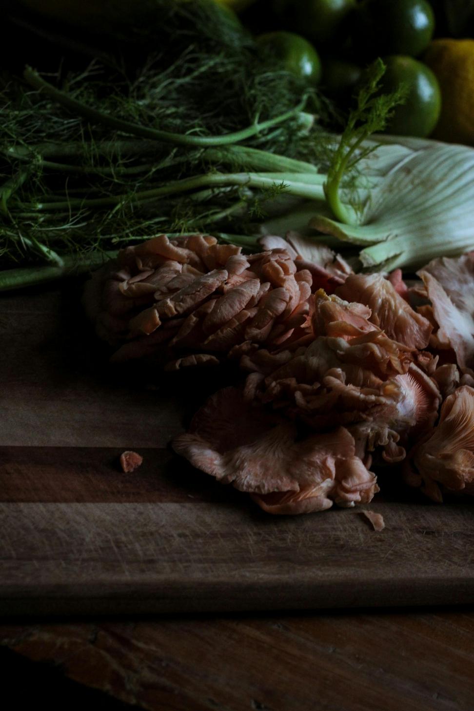 Lamb